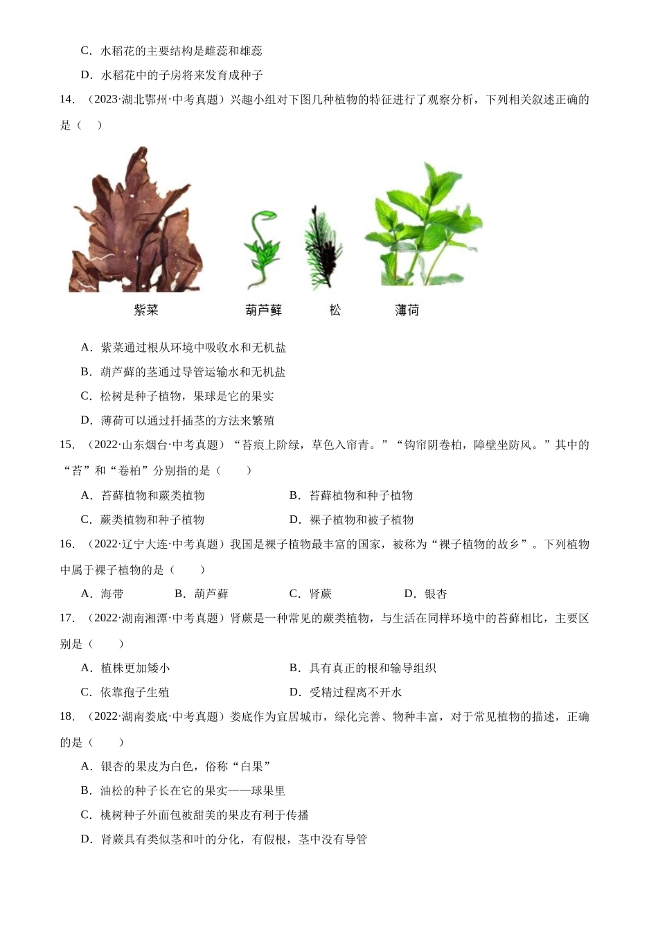 专题04 生物圈中的绿色植物（原卷版）-三年(2022-2024)中考生物真题分类汇编(全国通用).docx_第3页