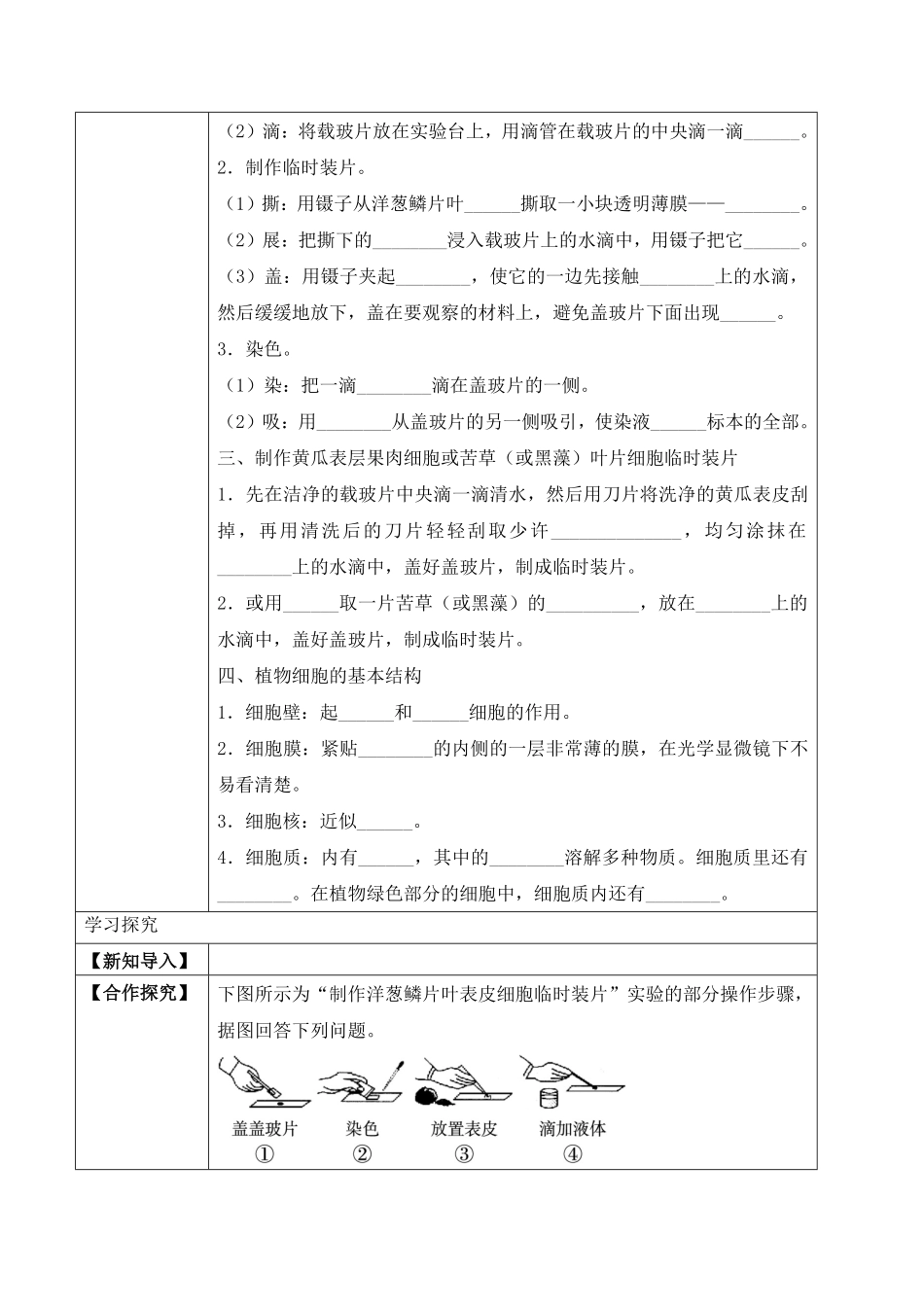 2.1.2植物细胞学案七年级生物上册同步优质备课资源人教版含答案.pdf_第2页