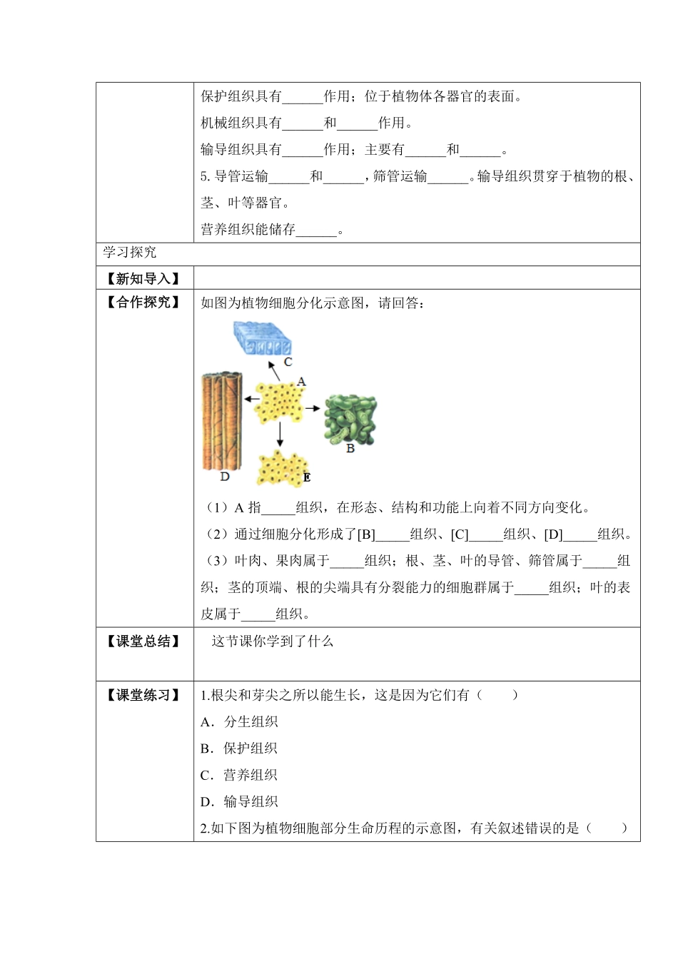 2.2.3植物体的结构层次学案七年级生物上册同步优质备课资源人教版含答案.pdf_第2页