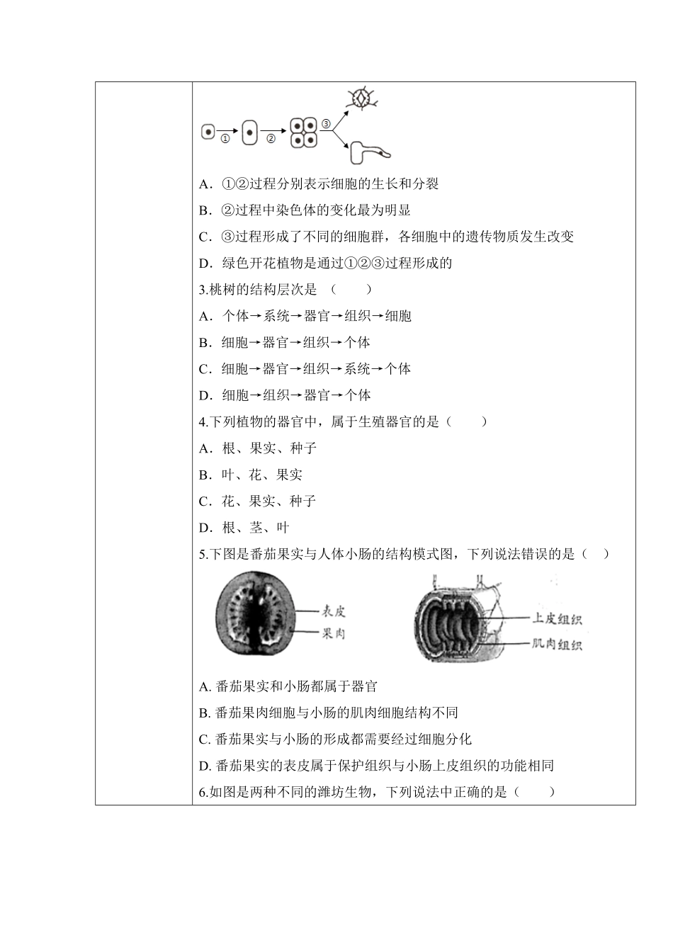 2.2.3植物体的结构层次学案七年级生物上册同步优质备课资源人教版含答案.pdf_第3页