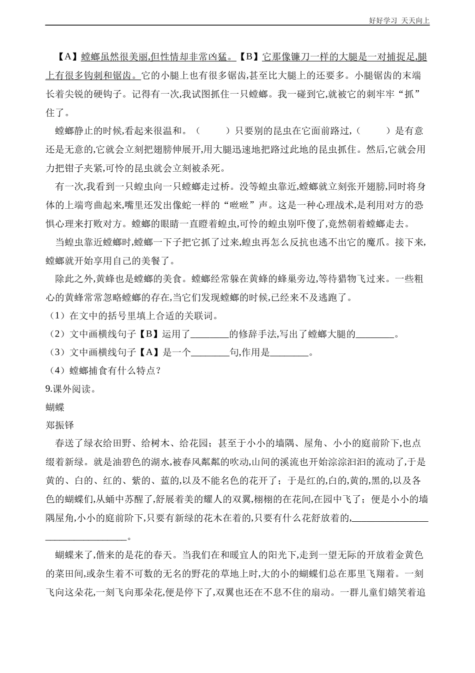 四年级上册语文部编版课时练《蝴蝶的家》试卷+答案版.docx_第3页