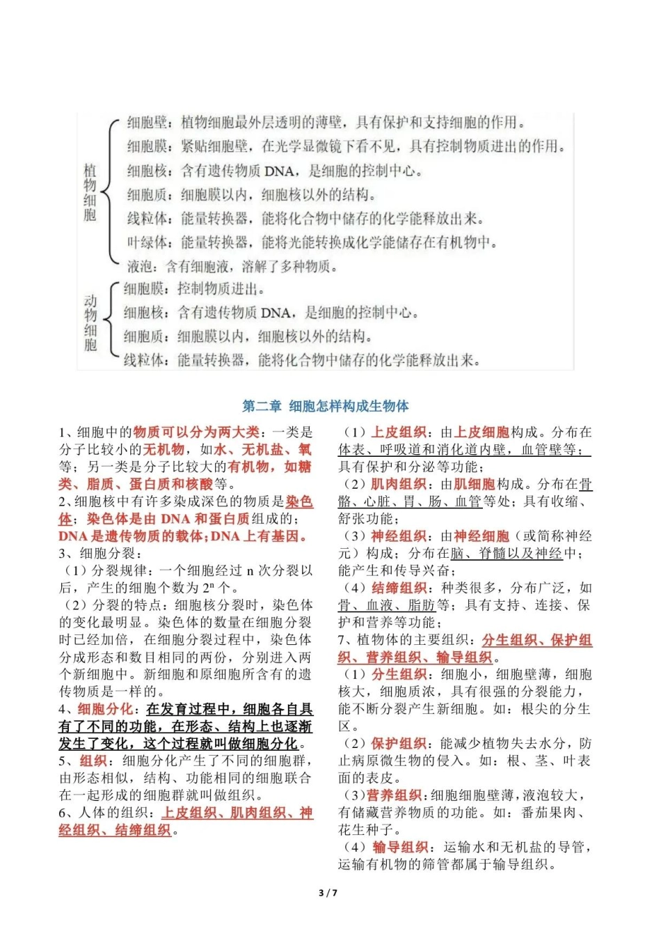【初中生物】2024中考复习-全册知识点总结（很详细）.pdf_第3页