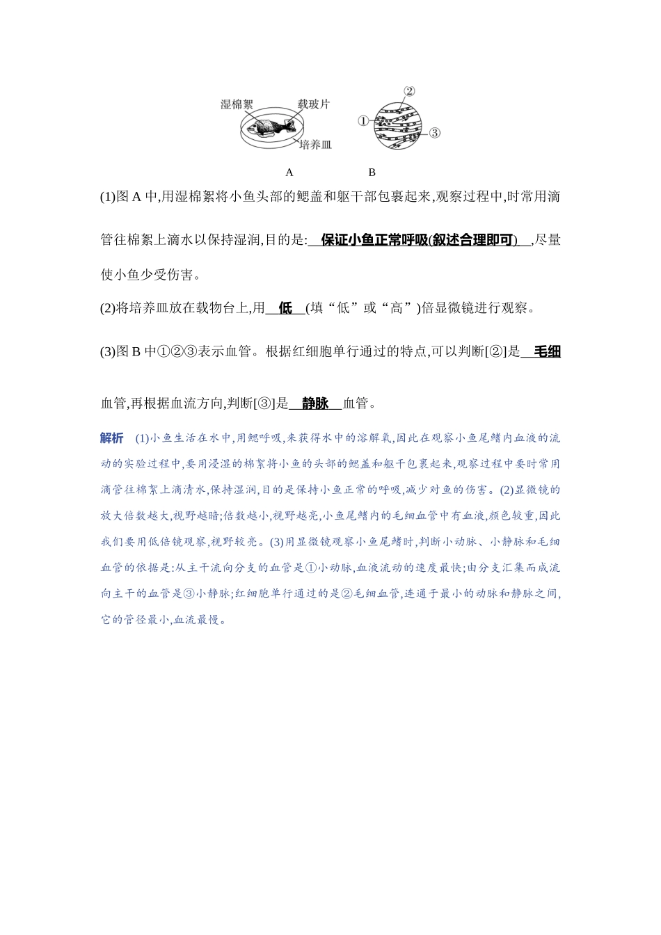 【中考生物】2023年5年中考3年模拟专题复习资料-实验突破九　观察小鱼尾鳍内血液的流动.docx_第3页
