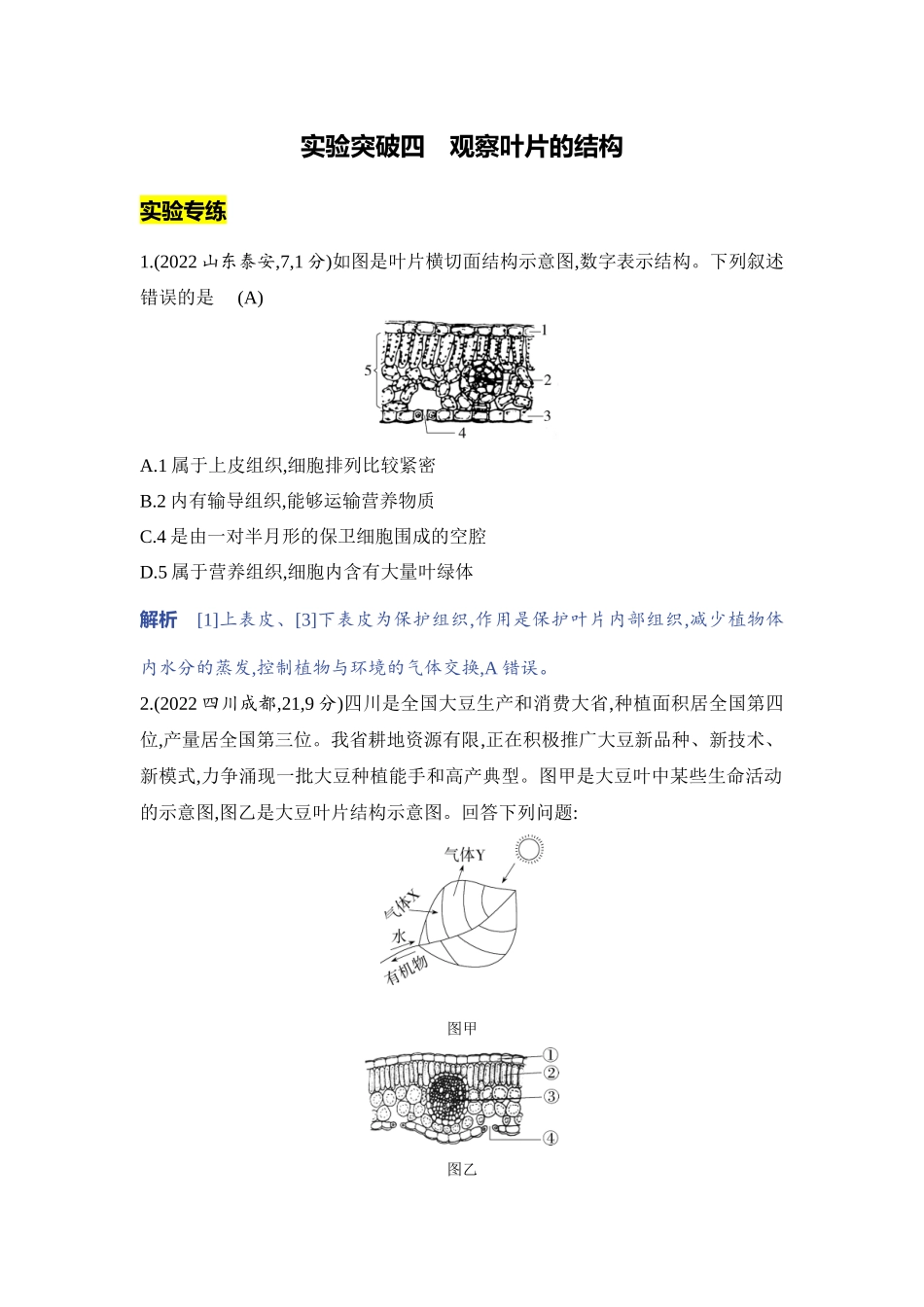 【中考生物】2023年5年中考3年模拟专题复习资料-实验突破四　观察叶片的结构.docx_第1页