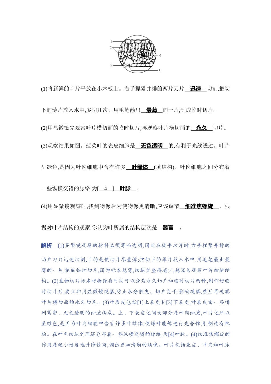 【中考生物】2023年5年中考3年模拟专题复习资料-实验突破四　观察叶片的结构.docx_第3页