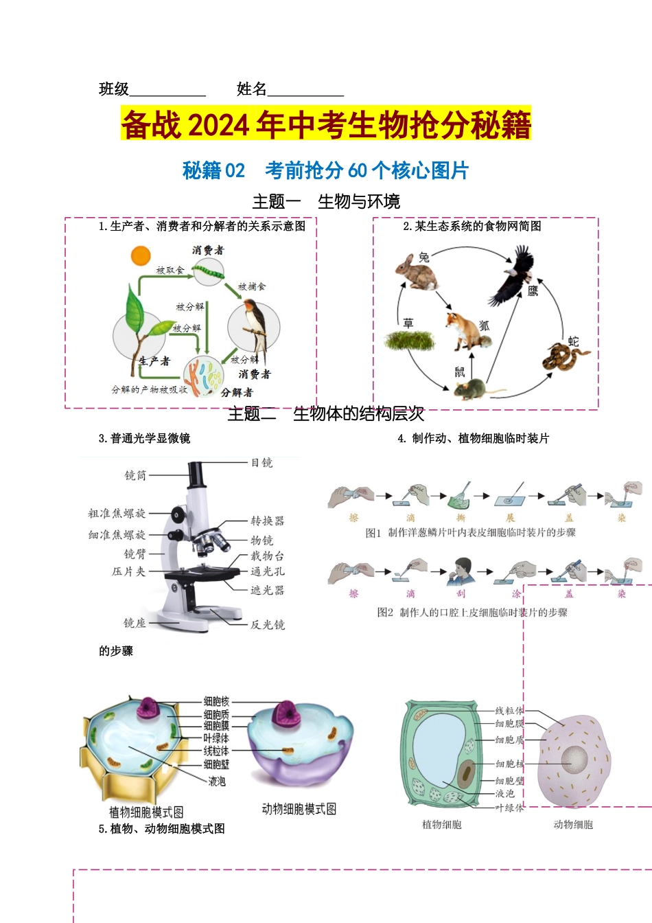 【中考生物】2024中考生物9大提分秘籍02 考前抢分60个核心图片 .docx_第1页