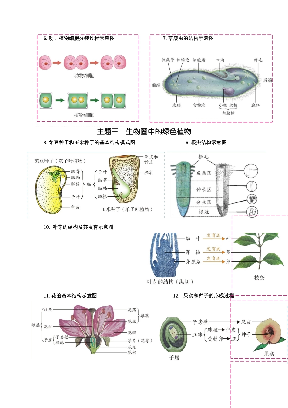 【中考生物】2024中考生物9大提分秘籍02 考前抢分60个核心图片 .docx_第2页