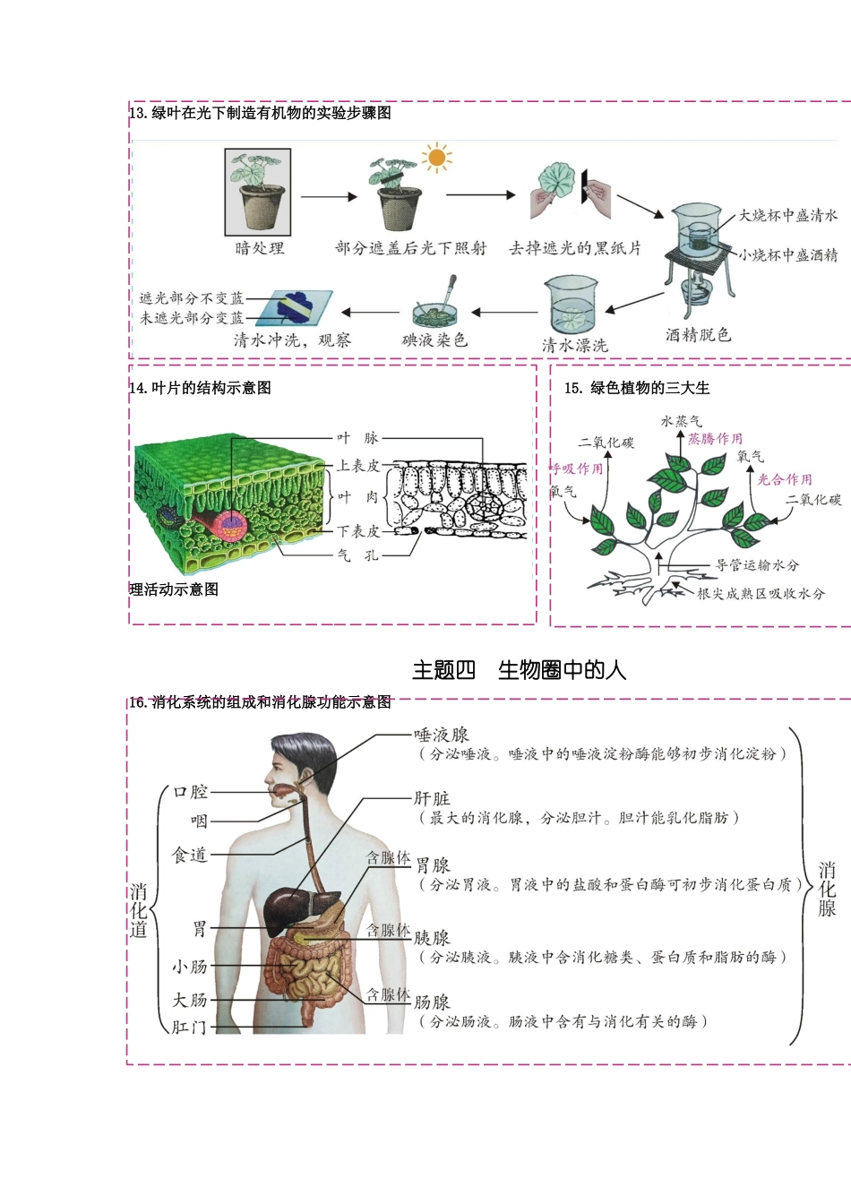 【中考生物】2024中考生物9大提分秘籍02 考前抢分60个核心图片 .docx_第3页