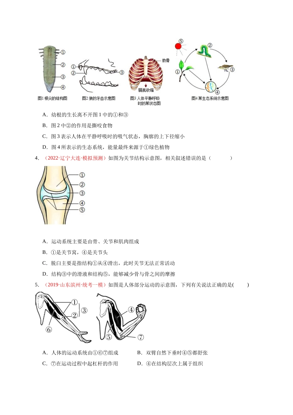 【中考生物】识图题专项训练-八年级上册识图题专练（原卷版）.docx_第2页
