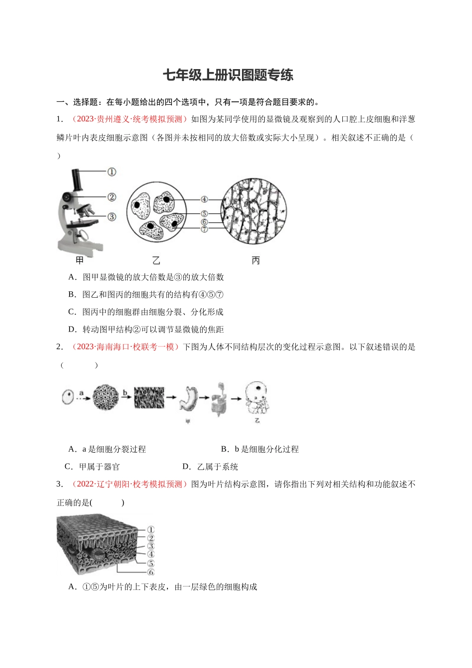 【中考生物】识图题专项训练-七年级上册识图题专练（原卷版）.docx_第1页