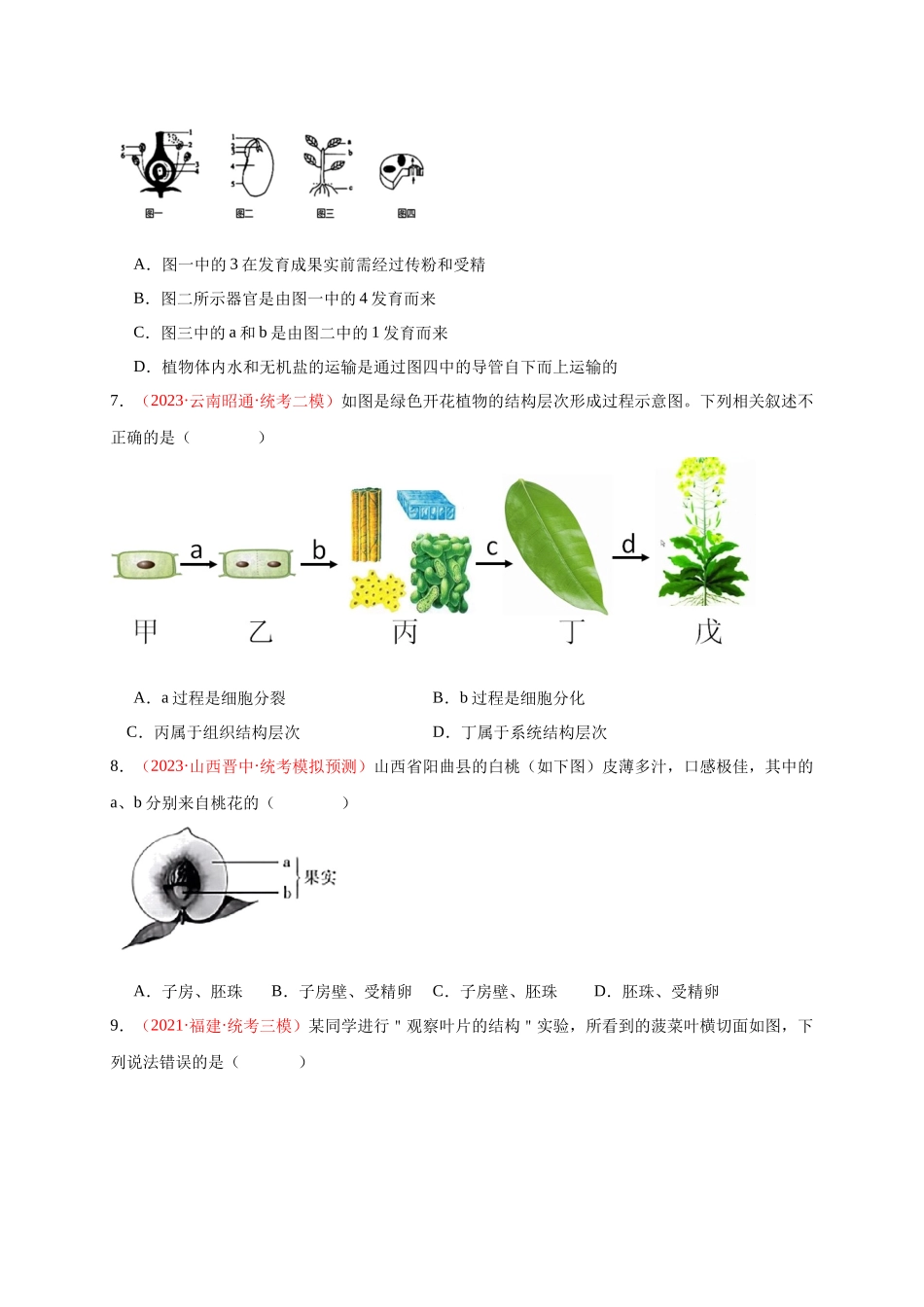 【中考生物】识图题专项训练-七年级上册识图题专练（原卷版）.docx_第3页