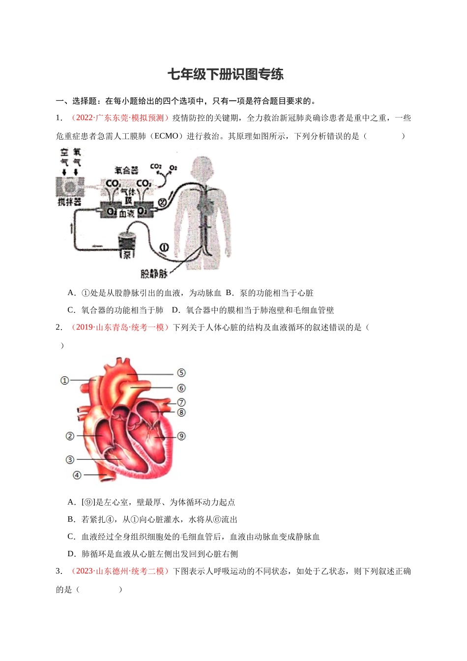 【中考生物】识图题专项训练-七年级下册识图题专练（原卷版）.docx_第1页