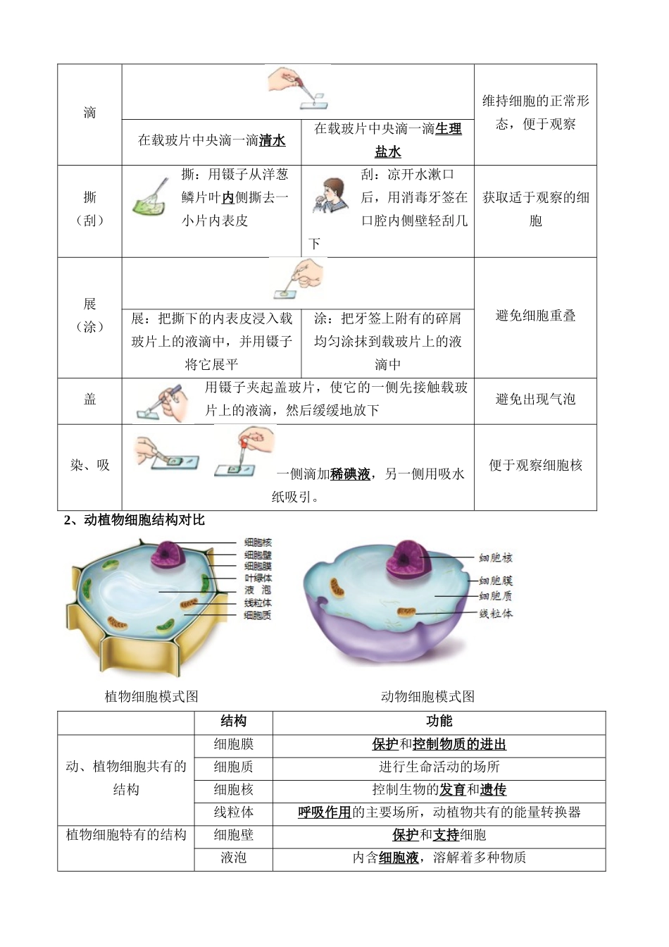【中考生物】一轮复习知识清单-清单02 生物体的结构层次（6大考点+6大高频命题点）.docx_第3页
