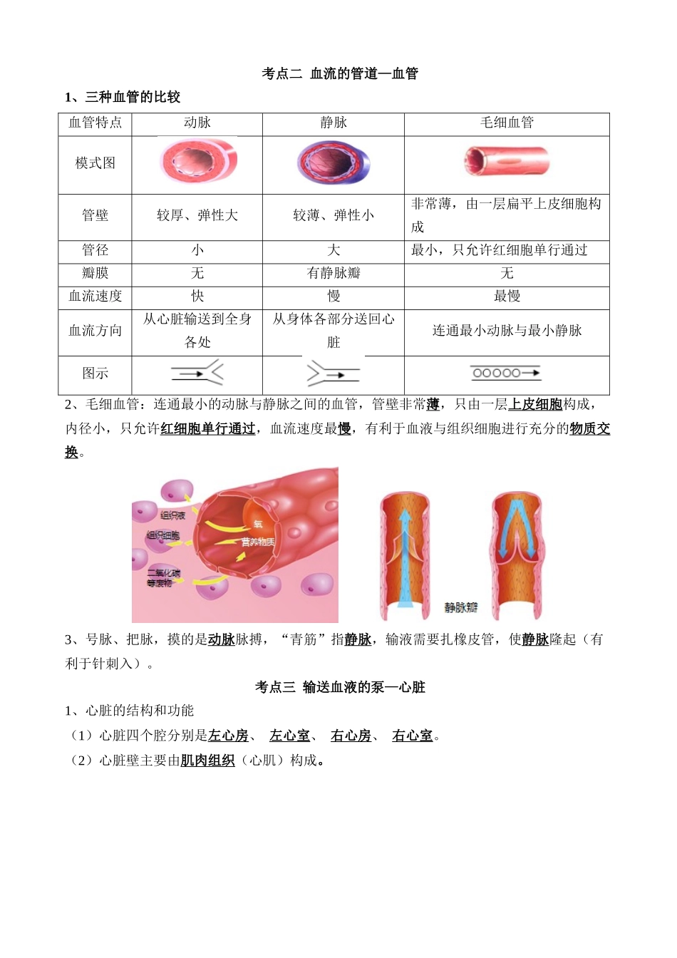 【中考生物】一轮复习知识清单-清单06 人体内的物质运输与废物排出（6大考点+6大高频命题点）.docx_第2页