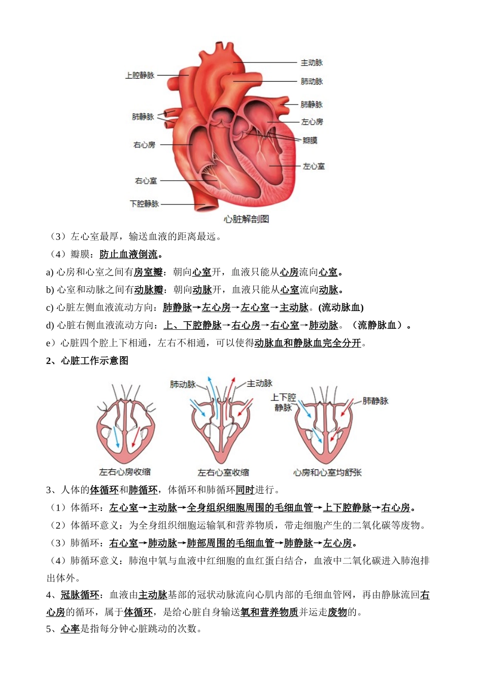 【中考生物】一轮复习知识清单-清单06 人体内的物质运输与废物排出（6大考点+6大高频命题点）.docx_第3页