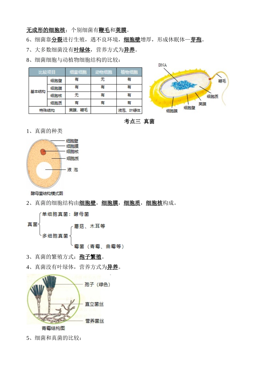 【中考生物】一轮复习知识清单-清单10 细菌、真菌和病毒（6大考点+2大高频命题点）.docx_第2页