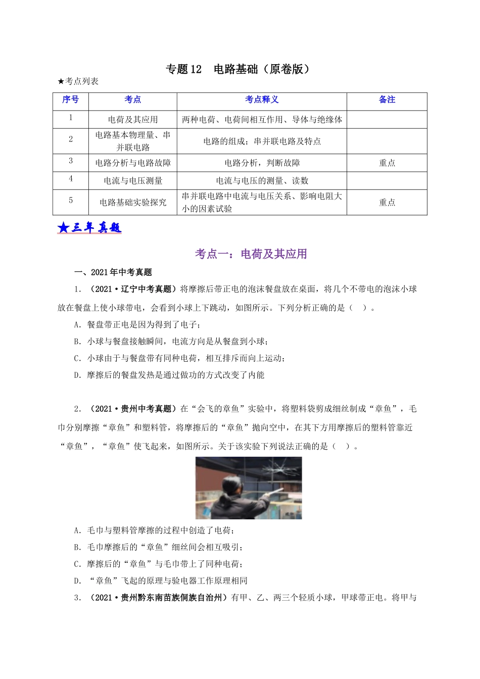 2024中考物理基础知识梳理专题12  电路基础（原卷版）.doc_第1页