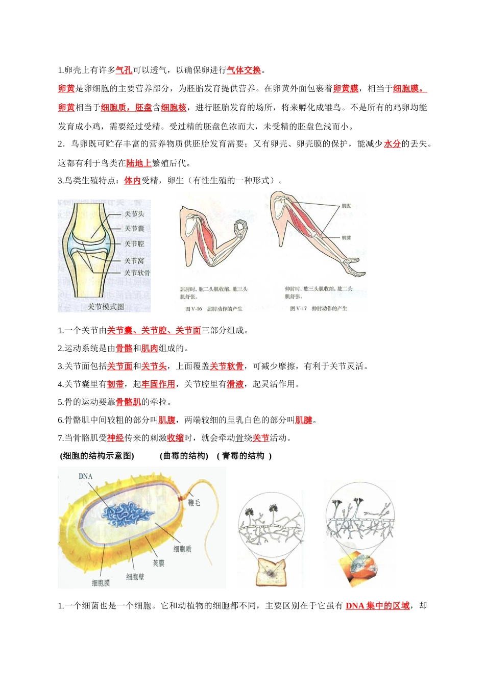 八年级上下册识图知识突破-备战2024年中考生物复习重点难点易错点提分法宝.docx_第2页