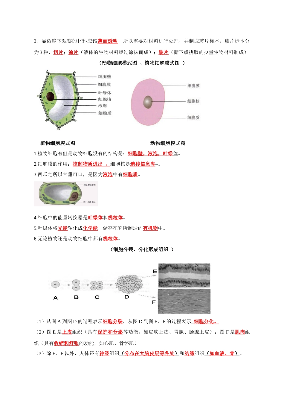 七年级上册识图知识突破-备战2024年中考生物复习重点难点易错点提分法宝.docx_第2页