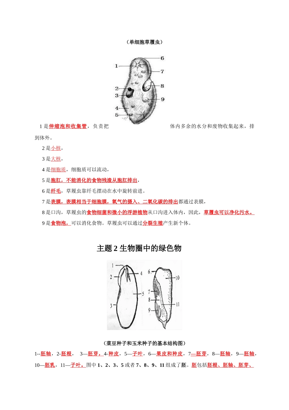 七年级上册识图知识突破-备战2024年中考生物复习重点难点易错点提分法宝.docx_第3页