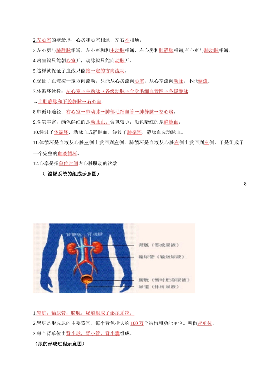 七年级下册识图知识突破-备战2024年中考生物复习重点难点易错点提分法宝.docx_第2页