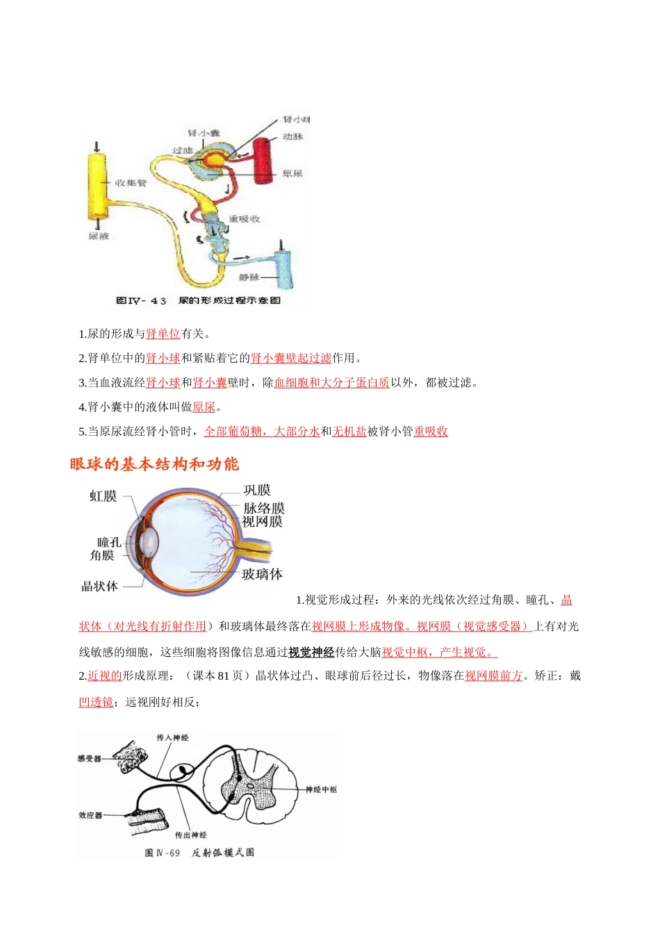 七年级下册识图知识突破-备战2024年中考生物复习重点难点易错点提分法宝.docx_第3页