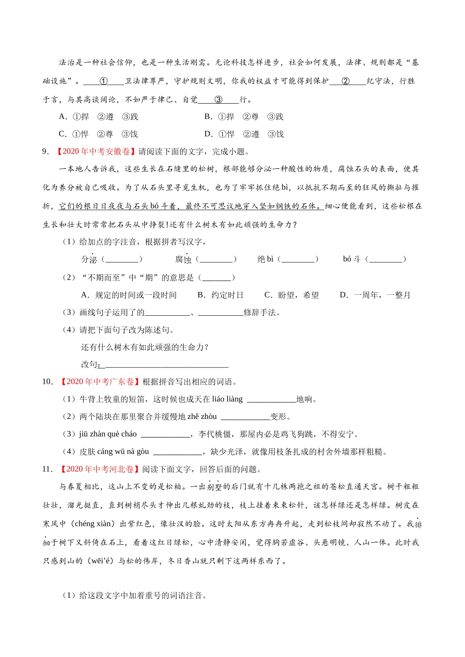 专题01 字音字形-2020年中考语文真题分项汇编（全国通用）（原卷版）.docx_第3页