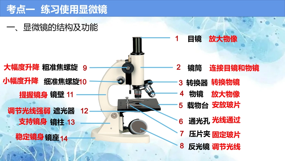专题02 细胞是生命活动的基本单位（课件）-备战2023年中考生物一轮复习考点（全国通用）.pptx_第3页