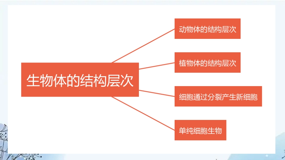 专题03 生物体的结构层次（课件）-备战2023年中考生物一轮复习考点（全国通用）.pptx_第2页
