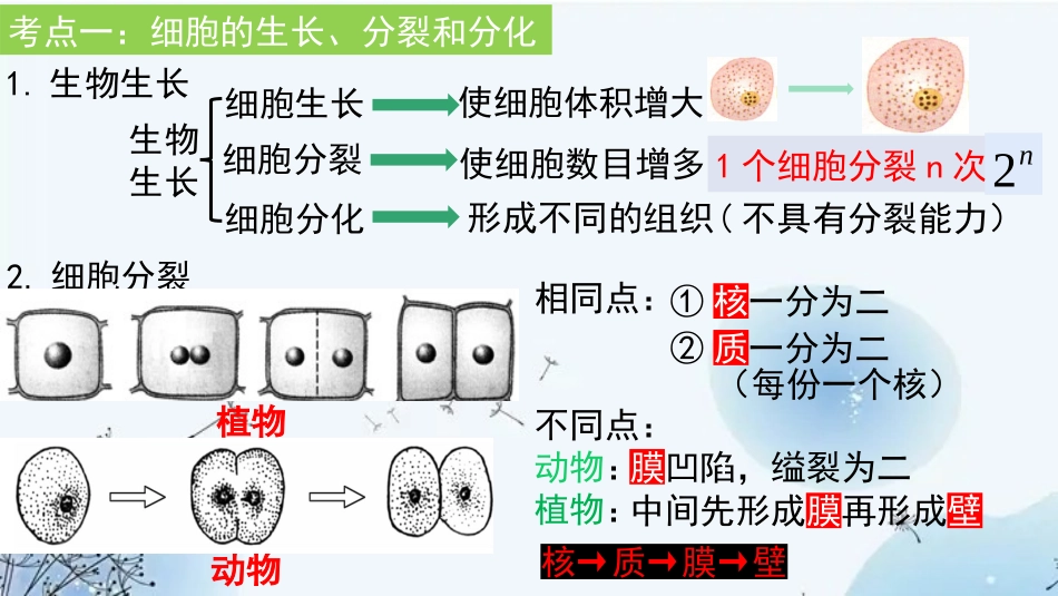 专题03 生物体的结构层次（课件）-备战2023年中考生物一轮复习考点（全国通用）.pptx_第3页