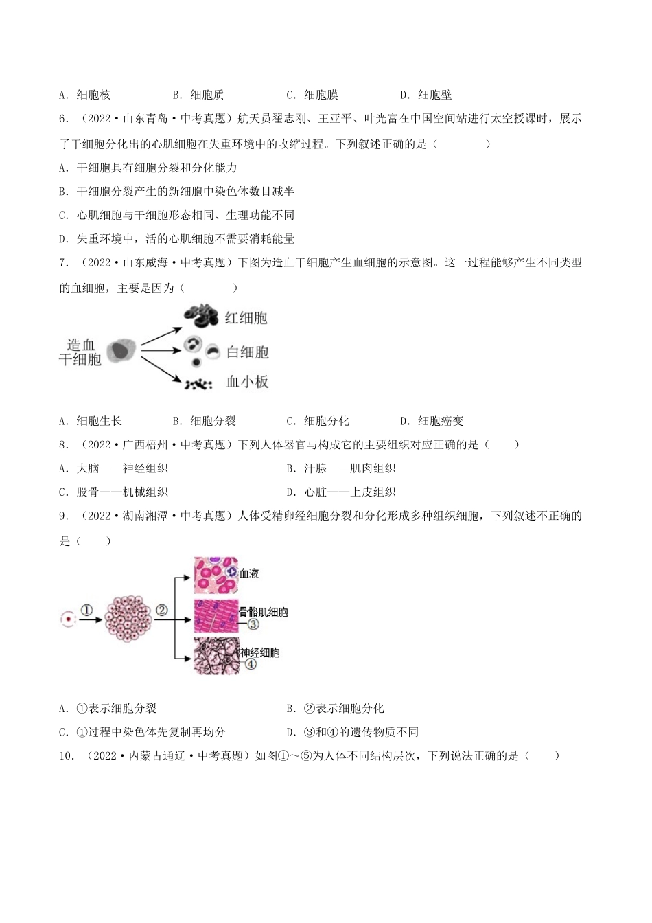 专题03 生物体的结构层次（习题）（原卷版）-备战2023年中考生物一轮复习考点（全国通用）.docx_第2页