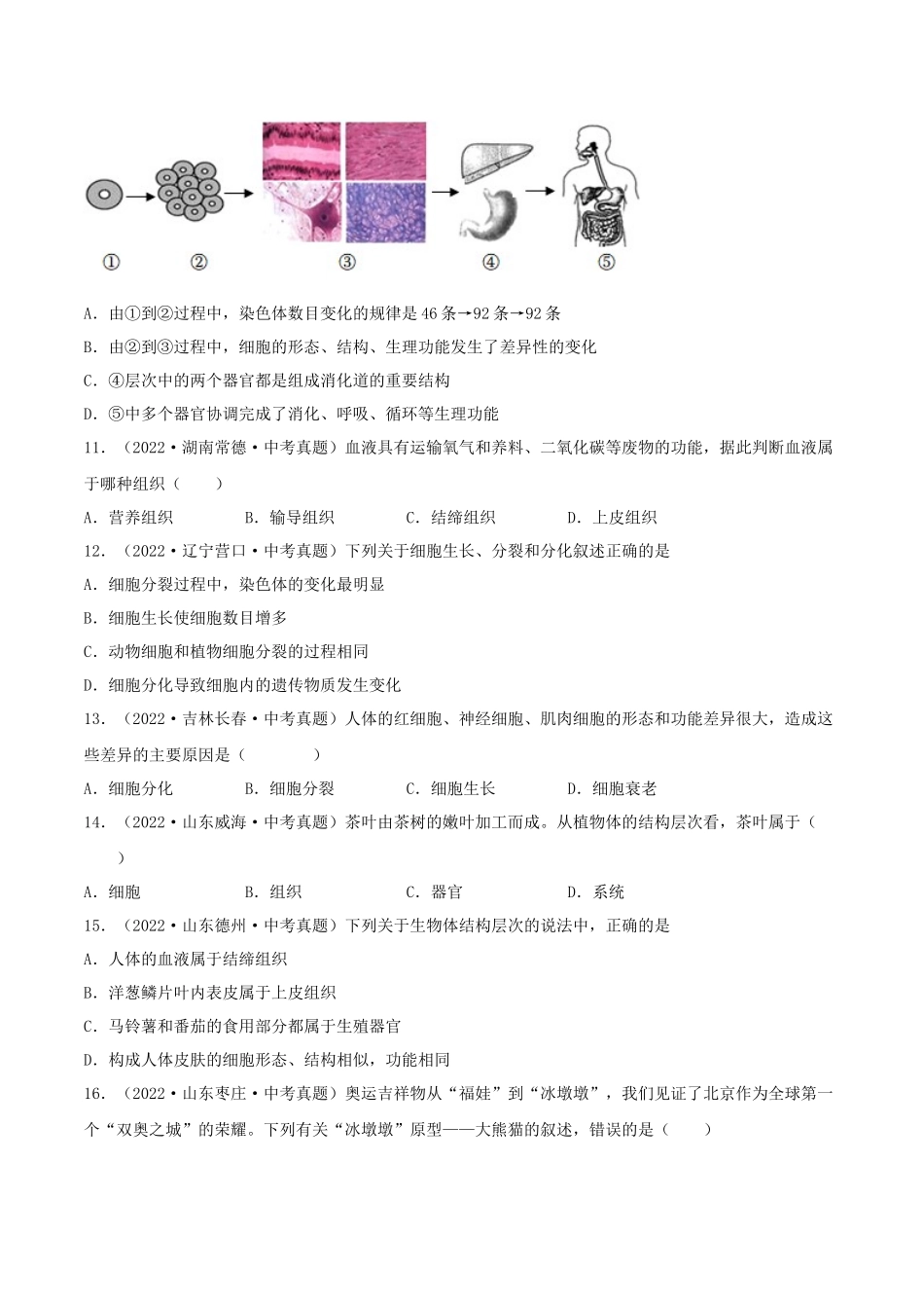 专题03 生物体的结构层次（习题）（原卷版）-备战2023年中考生物一轮复习考点（全国通用）.docx_第3页