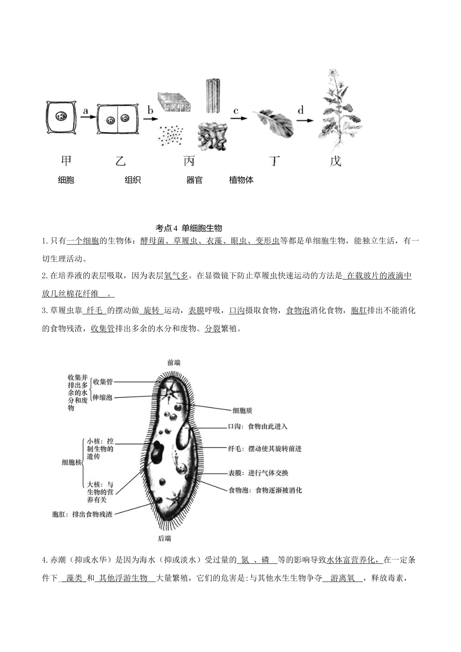 专题03 生物体的结构层次（知识）-备战2023年中考生物一轮复习考点（全国通用）.docx_第3页