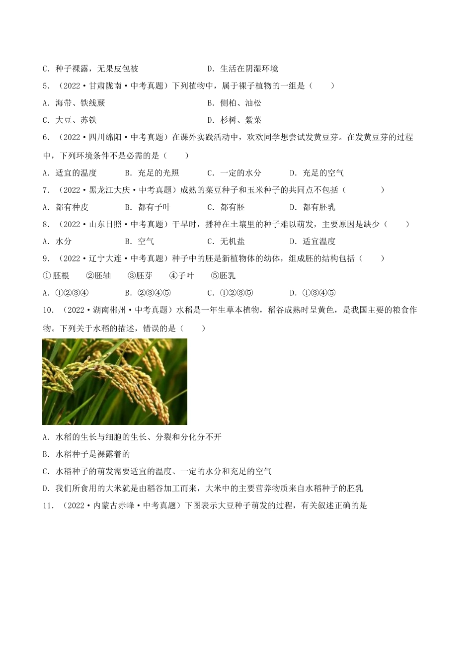 专题04 生物圈中的绿色植物（习题）（原卷版）-备战2023年中考生物一轮复习考点（全国通用）.docx_第2页