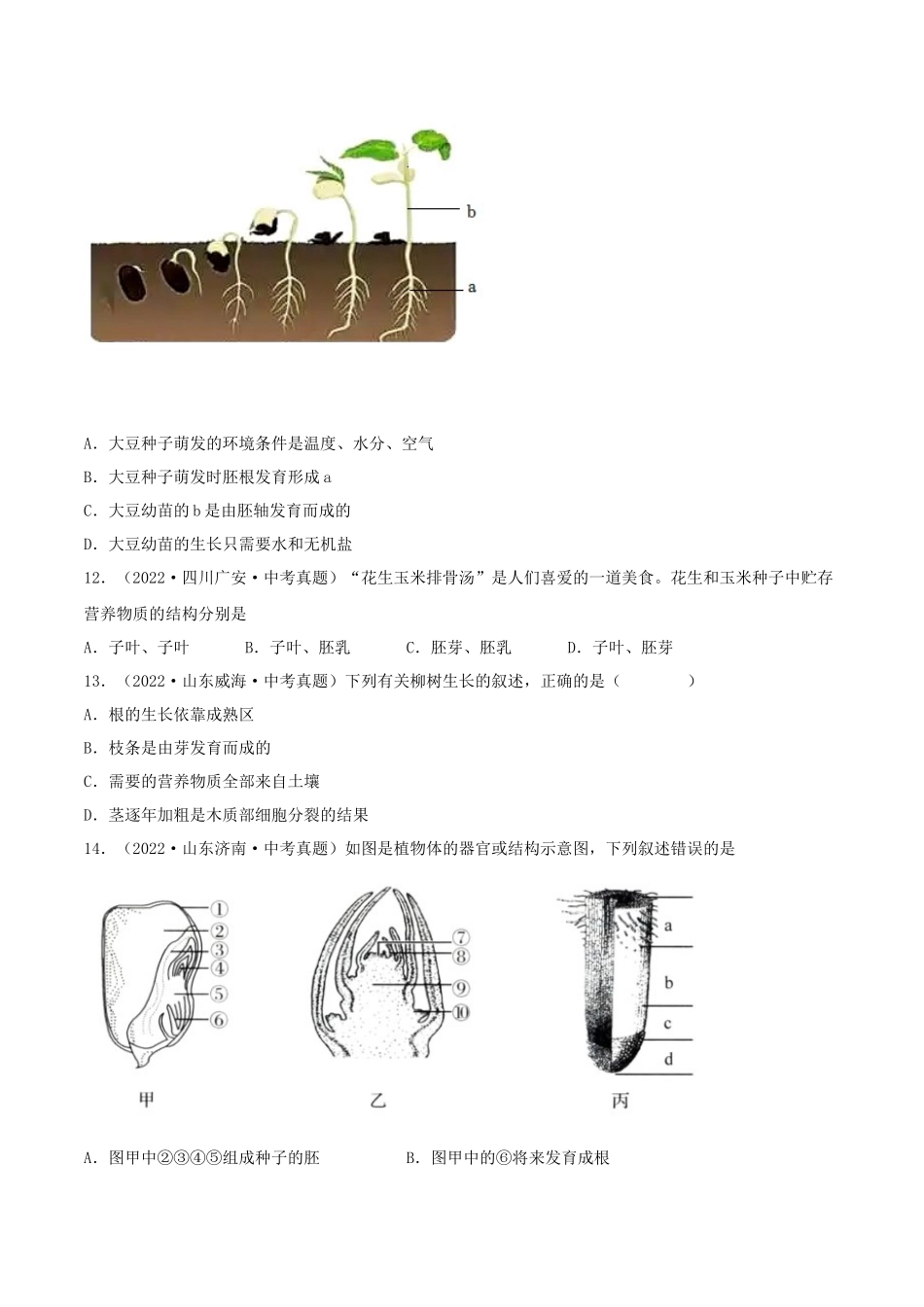 专题04 生物圈中的绿色植物（习题）（原卷版）-备战2023年中考生物一轮复习考点（全国通用）.docx_第3页