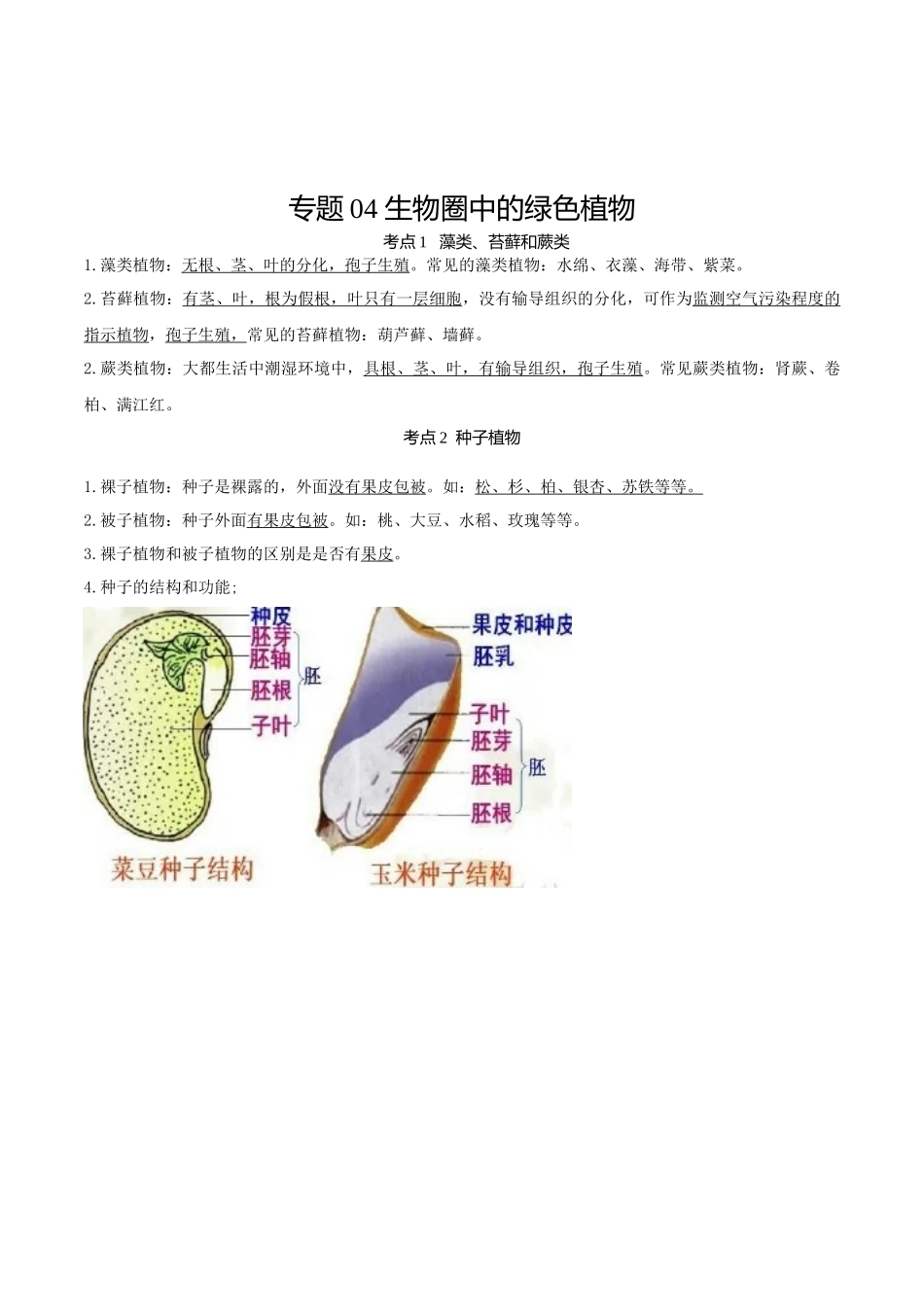 专题04 生物圈中的绿色植物（知识）-备战2023年中考生物一轮复习考点（全国通用）.docx_第1页