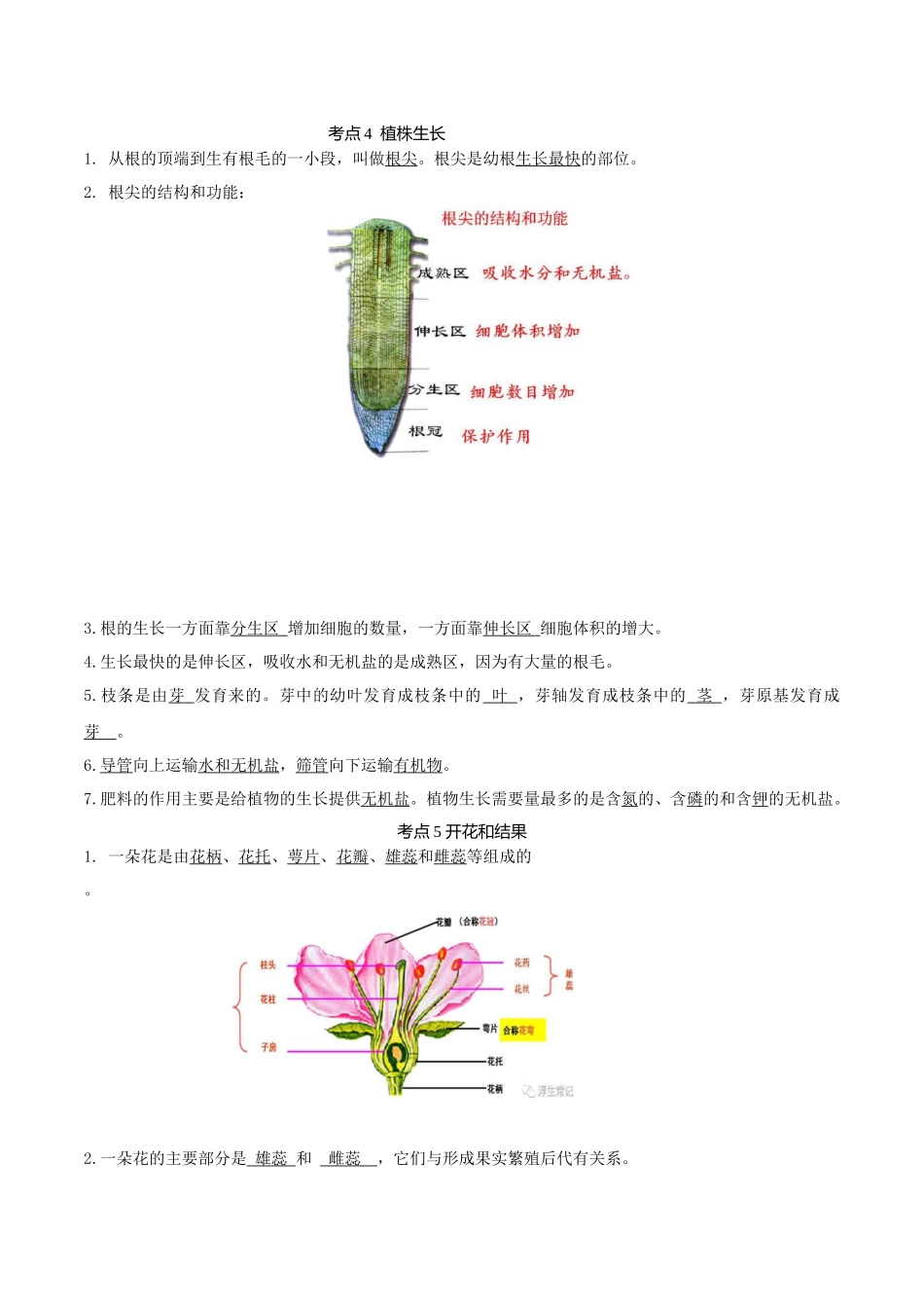 专题04 生物圈中的绿色植物（知识）-备战2023年中考生物一轮复习考点（全国通用）.docx_第3页