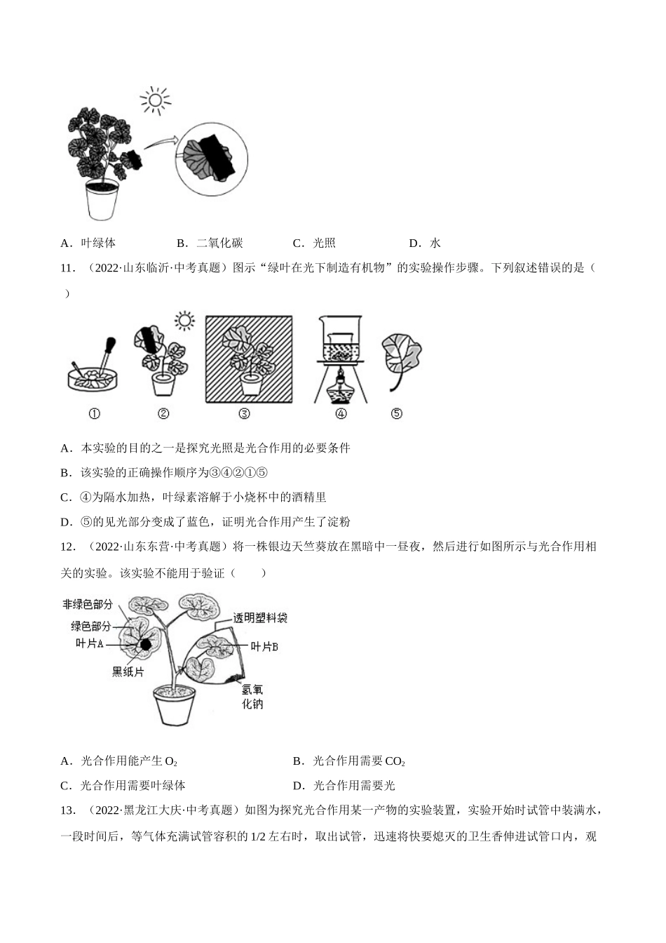 专题05 绿色植物的蒸腾作用、光合作用和呼吸作用 （习题）（原卷版）-备战2023年中考生物一轮复习考点（全国通用）.docx_第3页