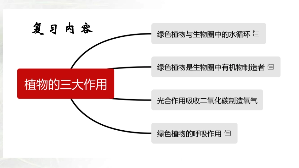 专题05 绿色植物的蒸腾作用、光合作用和呼吸作用（课件）-备战2023年中考生物一轮复习考点（全国通用）.pptx_第2页