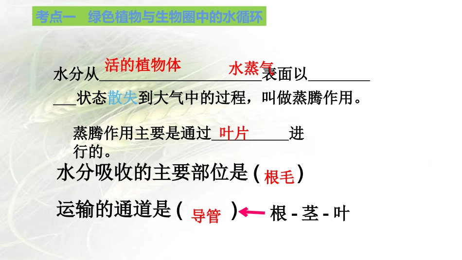 专题05 绿色植物的蒸腾作用、光合作用和呼吸作用（课件）-备战2023年中考生物一轮复习考点（全国通用）.pptx_第3页