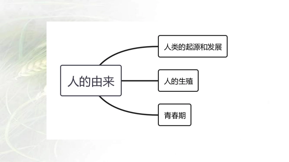 专题06 人的由来（课件）-备战2023年中考生物一轮复习考点（全国通用）.pptx_第2页