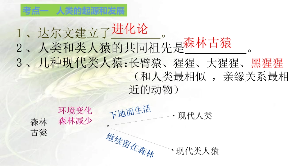 专题06 人的由来（课件）-备战2023年中考生物一轮复习考点（全国通用）.pptx_第3页