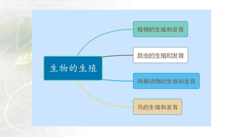 专题07 生物的生殖（课件）-备战2023年中考生物一轮复习考点（全国通用）.pptx_第2页