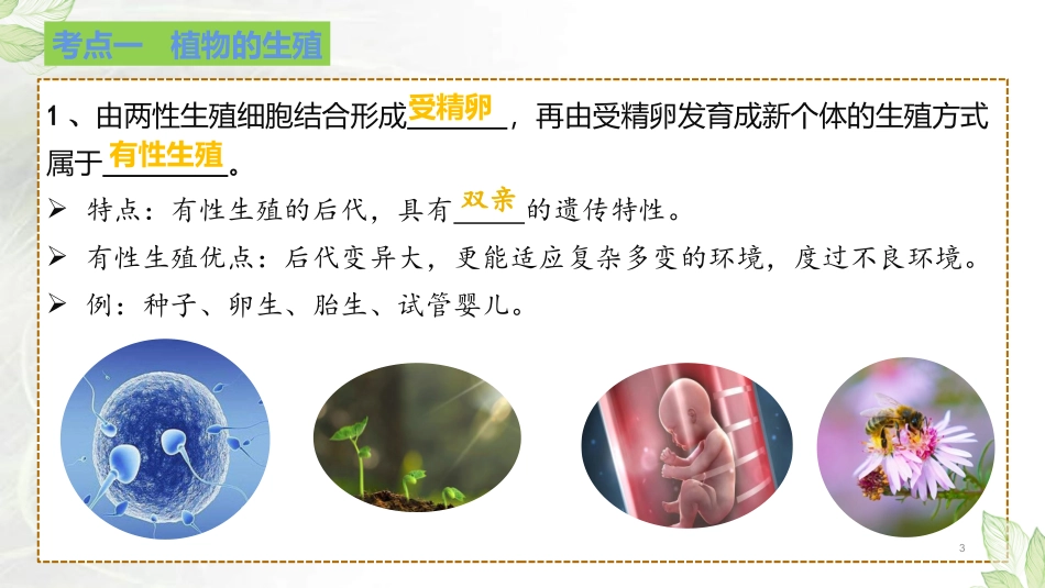 专题07 生物的生殖（课件）-备战2023年中考生物一轮复习考点（全国通用）.pptx_第3页