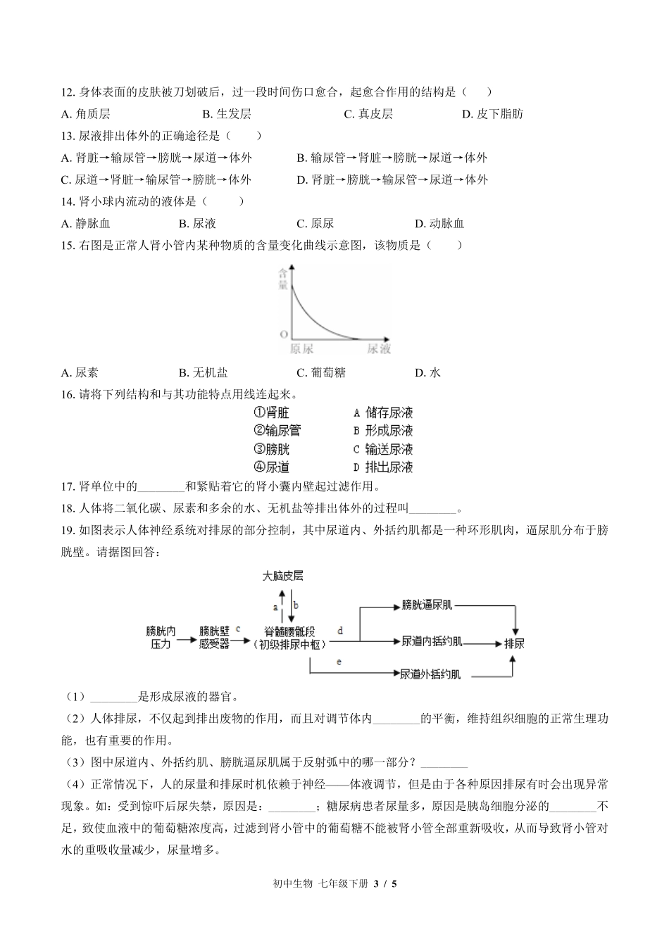 北师大版初中生物七年级下册第11章综合测试试卷-含答案03.pdf_第3页