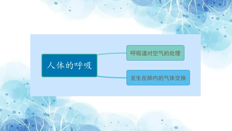 专题09 人体的呼吸（课件）-备战2023年中考生物一轮复习考点（全国通用）.pptx_第2页