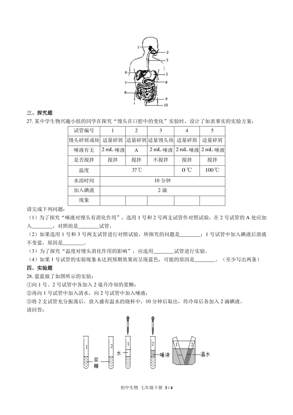 北师大版初中生物七年级下册第8章综合测试试卷-含答案01.pdf_第3页