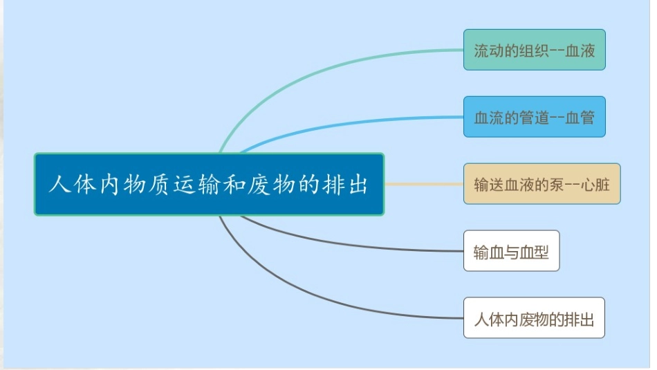专题10 人体内物质的运输和废物的排出（课件）-备战2023年中考生物一轮复习考点（全国通用）.pptx_第2页