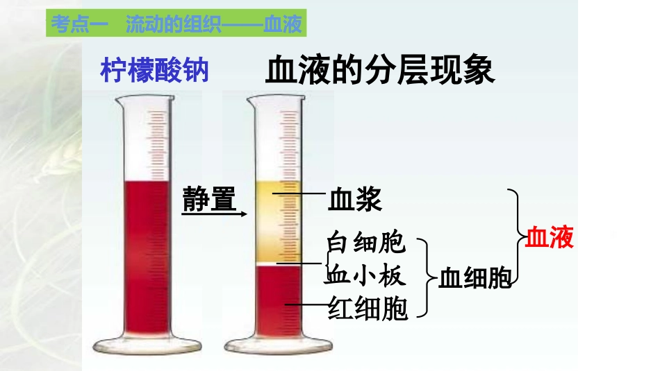 专题10 人体内物质的运输和废物的排出（课件）-备战2023年中考生物一轮复习考点（全国通用）.pptx_第3页