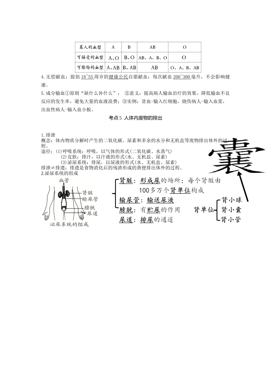 专题10人体内物质的运输和废物的排出（知识）-备战2023年中考生物一轮复习考点（全国通用）.docx_第3页